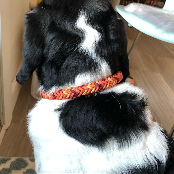 ⭐️Host Pick⭐️ Zara Multi-Coloured Braided Leash and Collar - Picture 4 of 12
